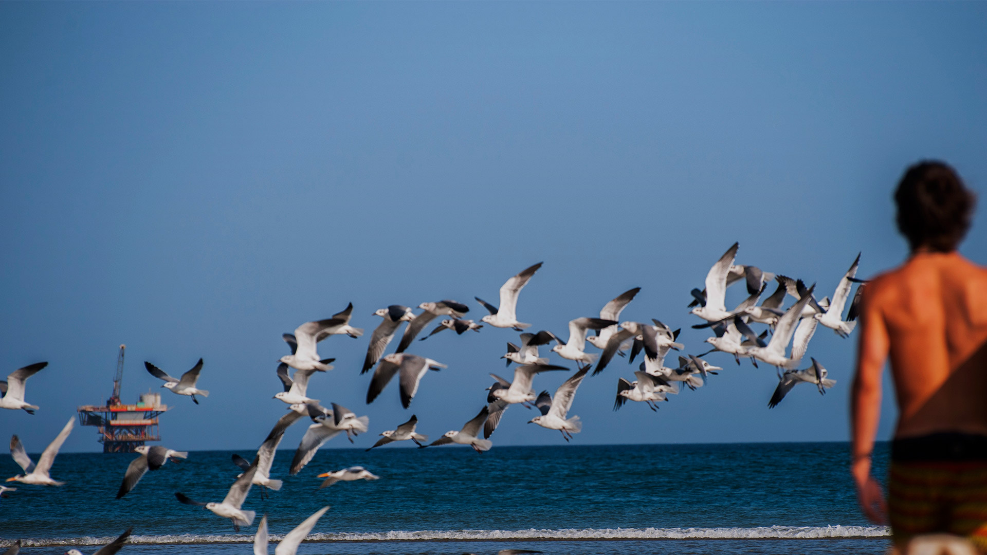 Observing marine faune in Piura